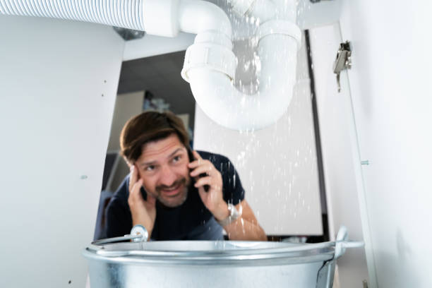 Best Residential Plumbing Services  in Remsen, IA